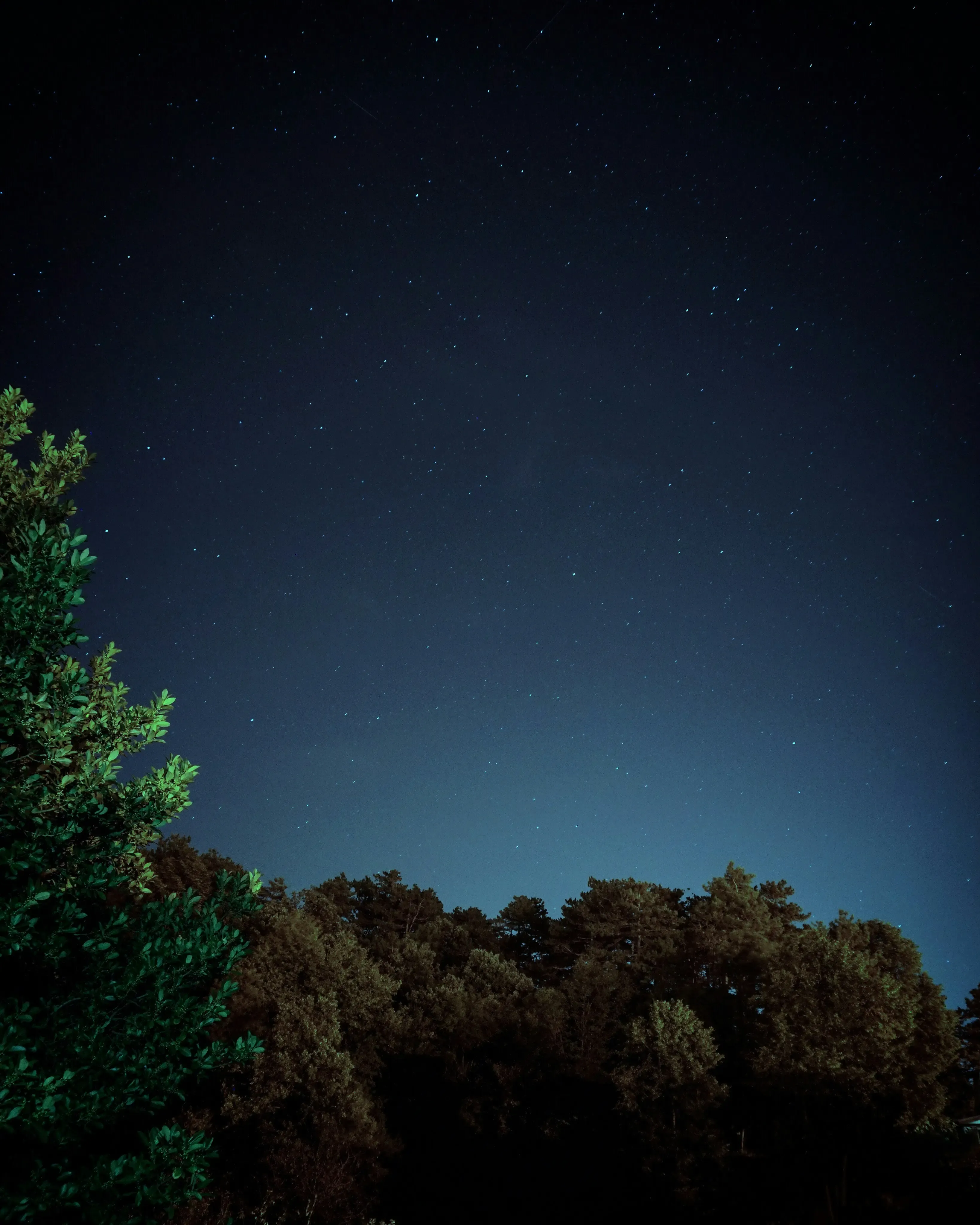 Preview placeholder for Scenery & Architecture category